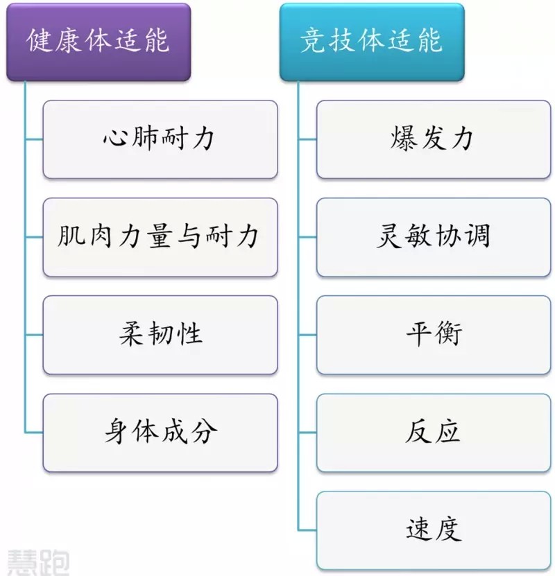 如何利用云平台进行篮球比赛的数据分析_2